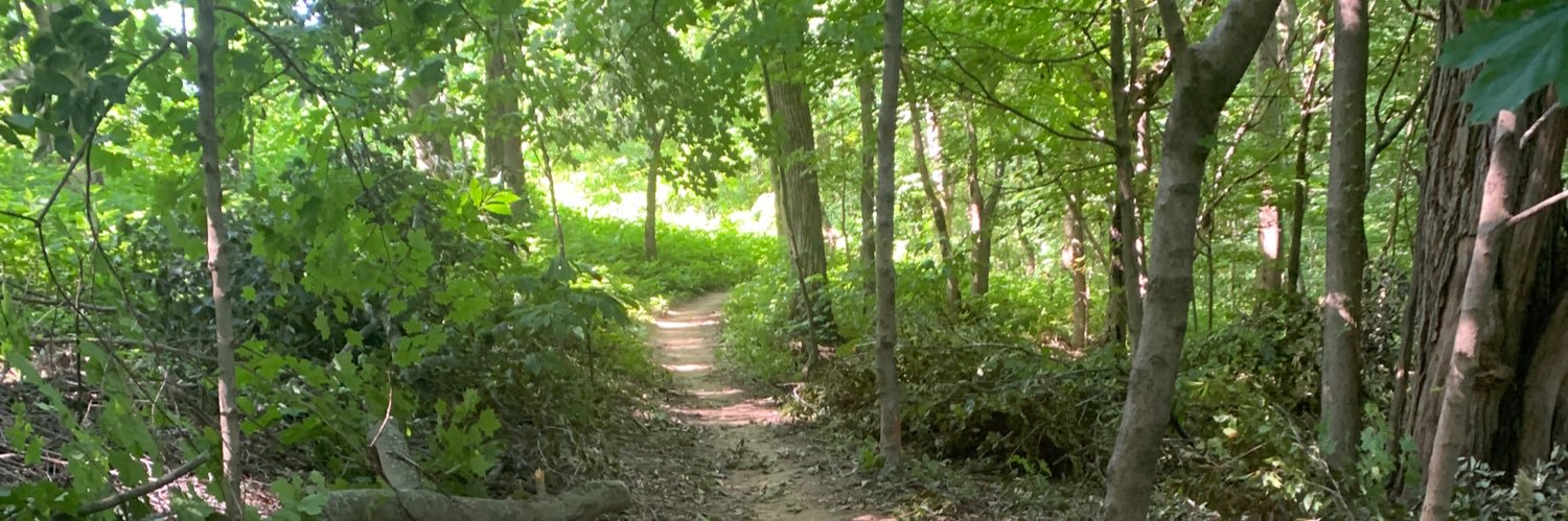 Chip Constant banner