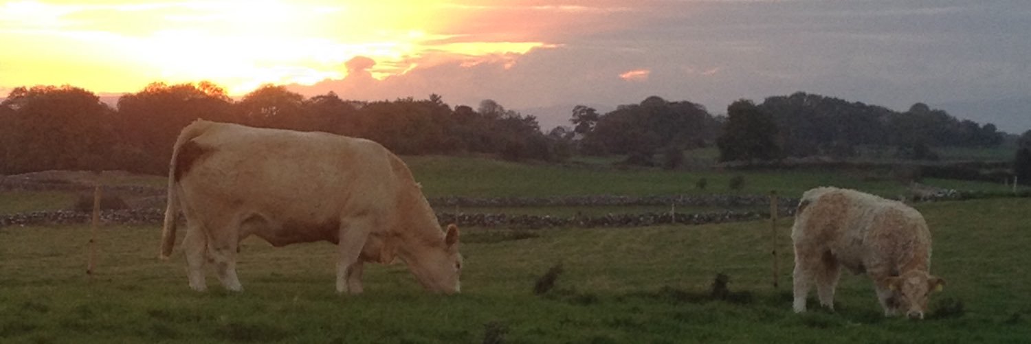 NiallW2's profile banner image
