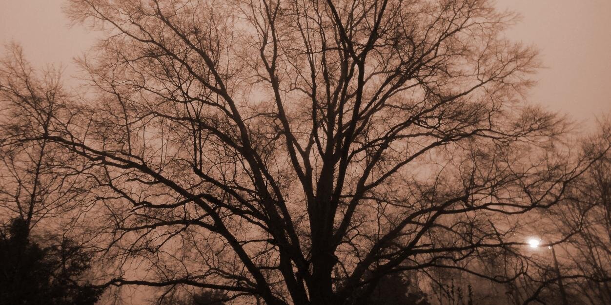 eric_bowen's profile banner image