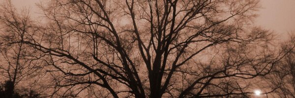 eric_bowen Profile Banner