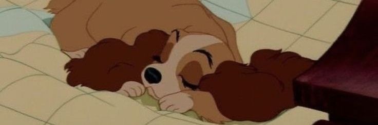 Sandra 🍂 banner