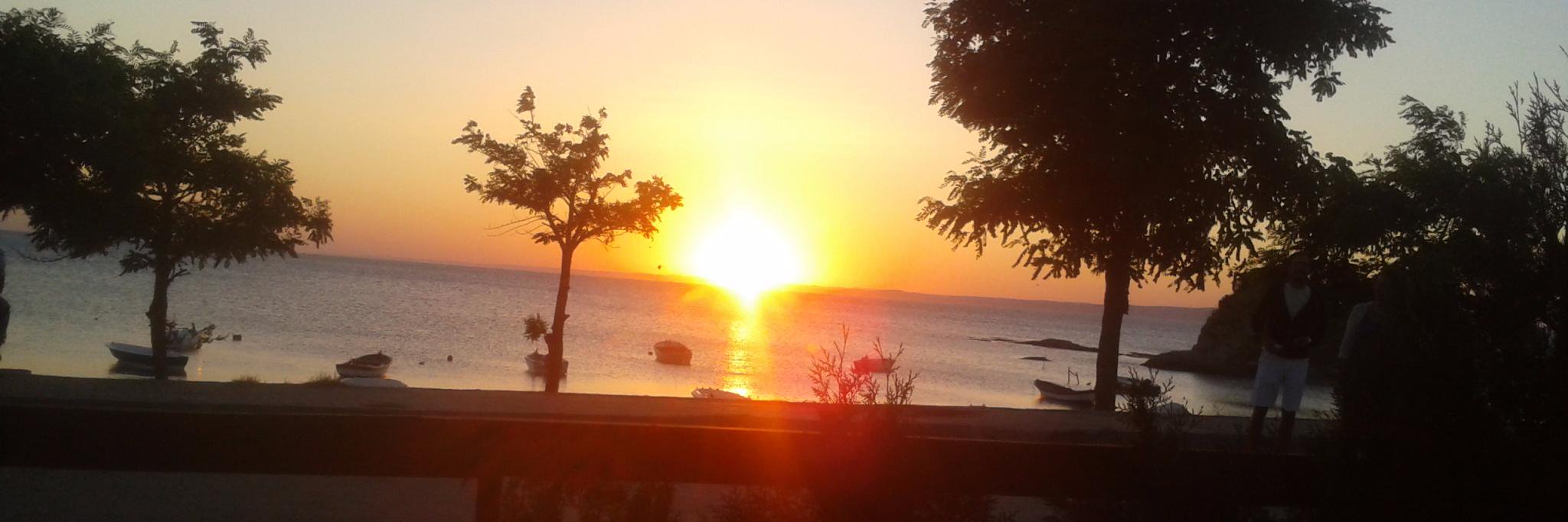 sonerpetek's profile banner image