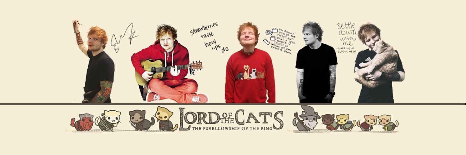 EdsChickenWing's profile banner image