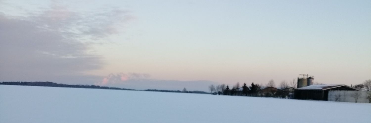 biggiinulm's profile banner image