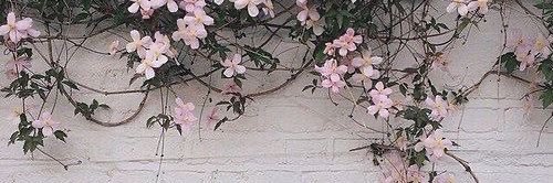 Decor1011's profile banner image