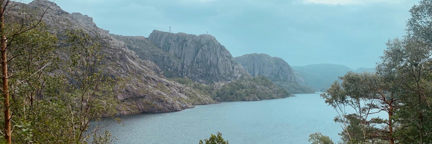 Sebastian Baumer 🍃 banner