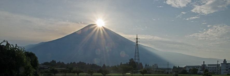 Dominic Houghton banner