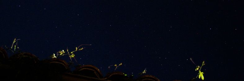 ElexireQuest's profile banner image