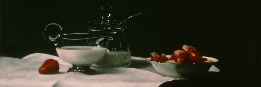 paletadeguaro's profile banner image