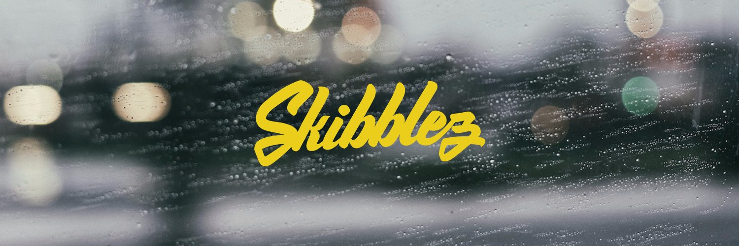 SkibblezMusic's profile banner image