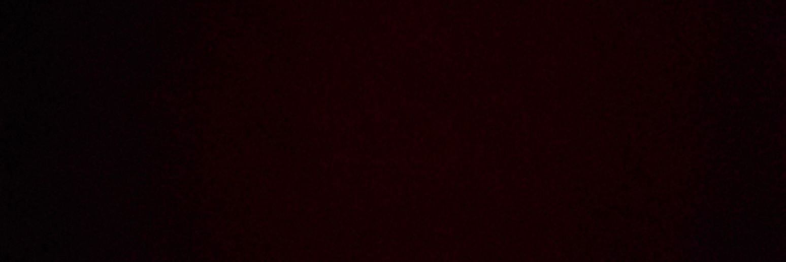 aroma_bird's profile banner image