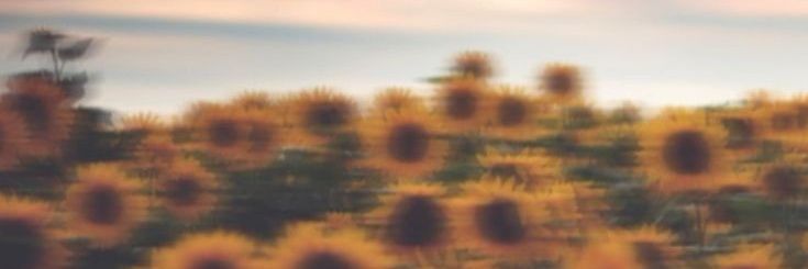 anakecyil's profile banner image