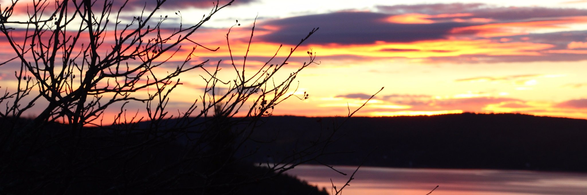 Jessica Ramsey banner