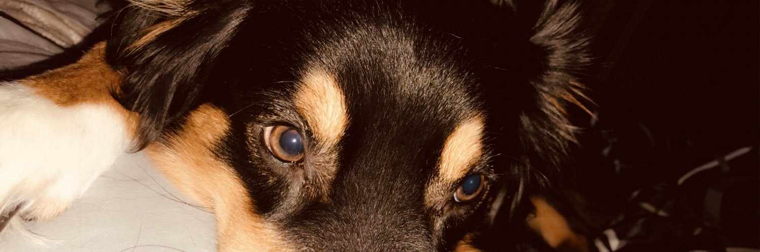 Babyster3's profile banner image