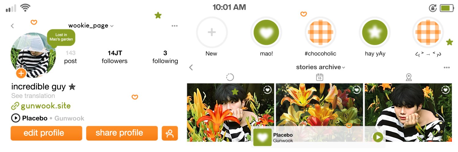 mao 💌 mt after dm banner