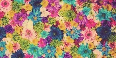 _JessVelasco's profile banner image