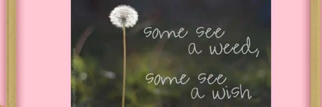 Mrs_SGeorge's profile banner image