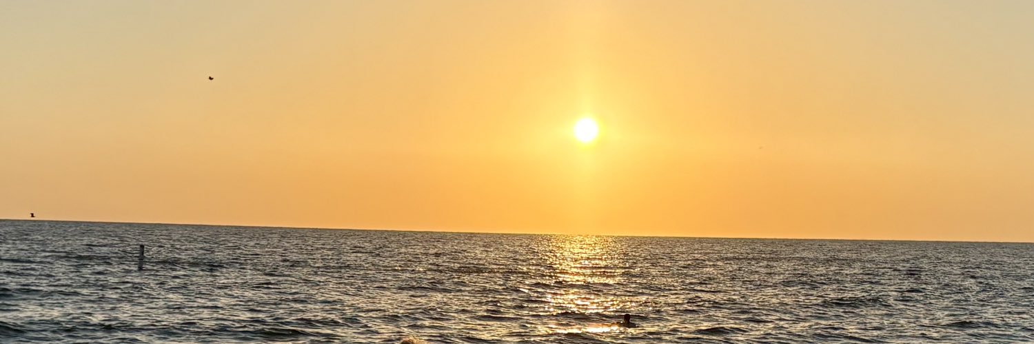 mpetch17's profile banner image