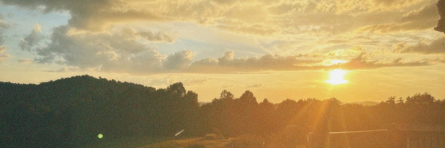 evieherbst's profile banner image