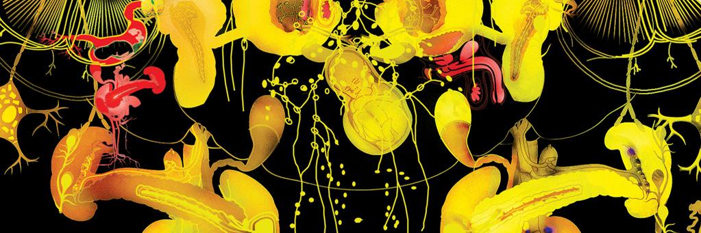 Cristian Grossi banner