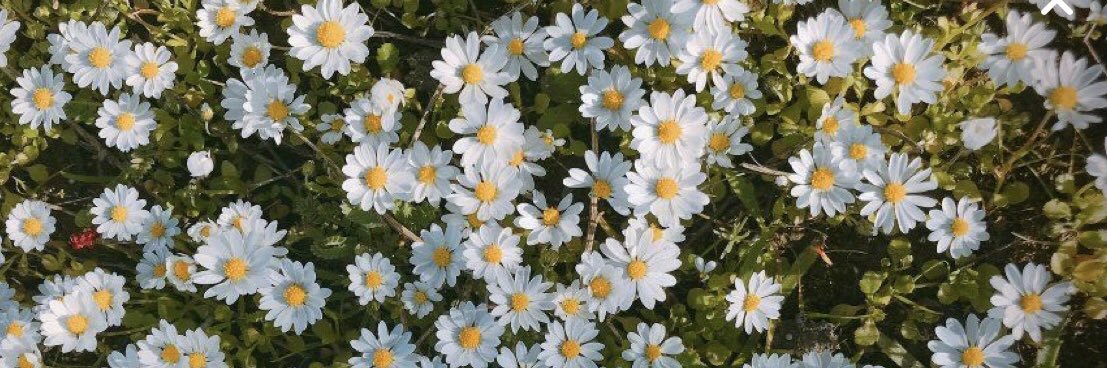 « Azel » ☀️ banner