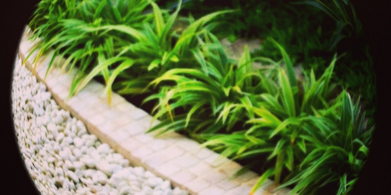 deadesya's profile banner image