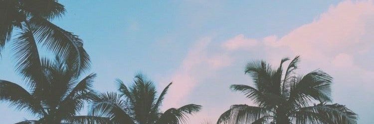 BabyAmandaaa's profile banner image