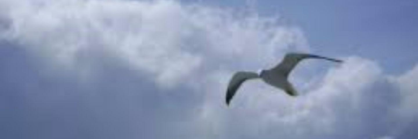 AboF2006's profile banner image
