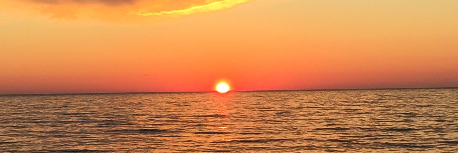 PDeichert's profile banner image
