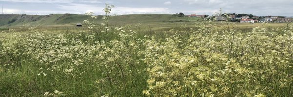 RhonaEA Profile Banner