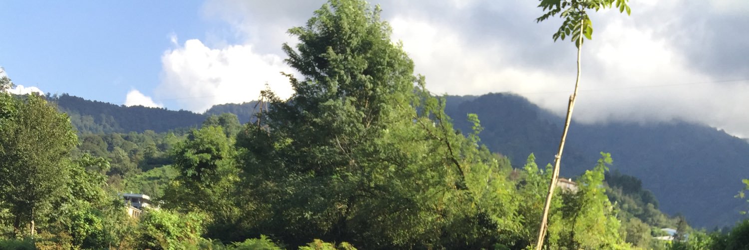 gsm3230's profile banner image