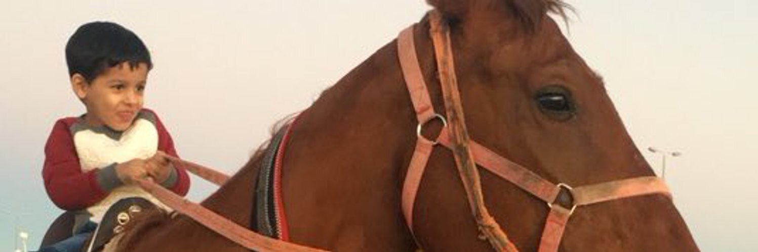 alshdoukhy's profile banner image