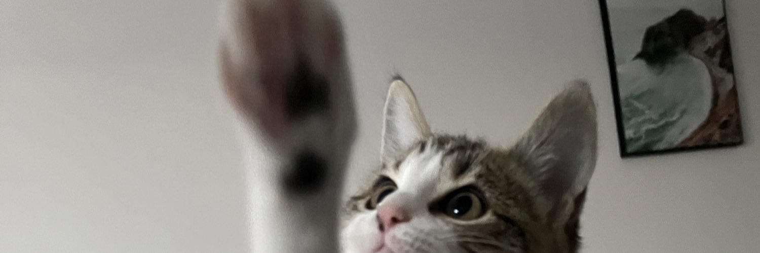 aud_leroy's profile banner image