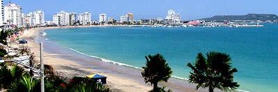 Veronica Marchan banner