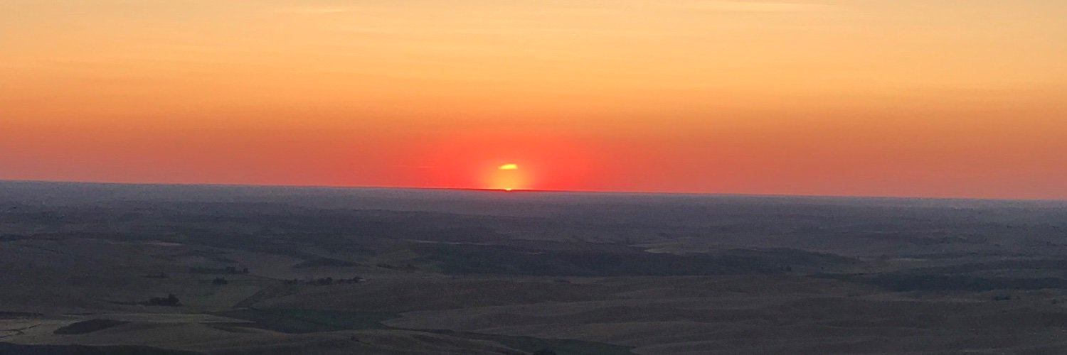 Elizabeth Canning banner