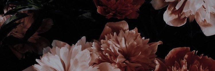 devon_ritchie's profile banner image