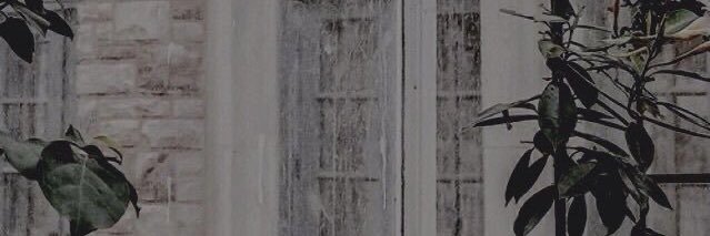pawsendyyy's profile banner image
