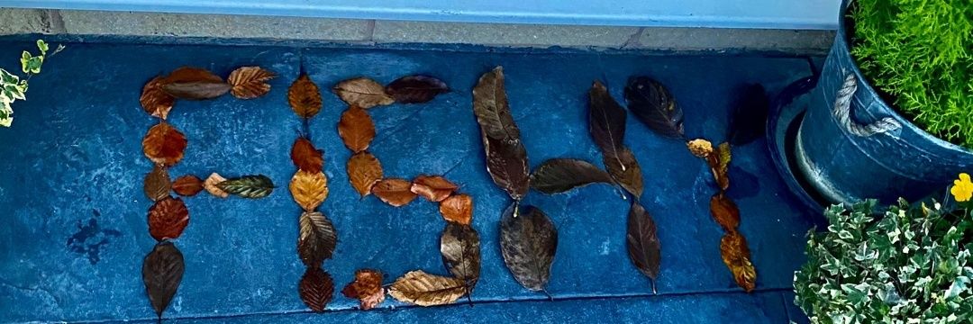 Stuart Fish 1967 banner