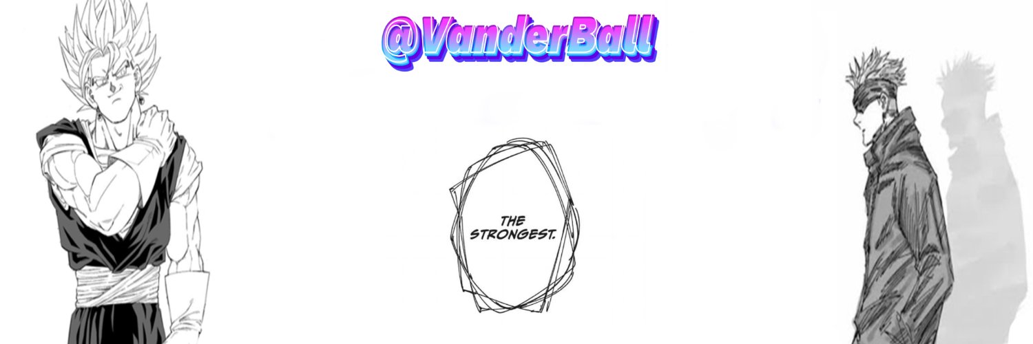 VanderBall banner