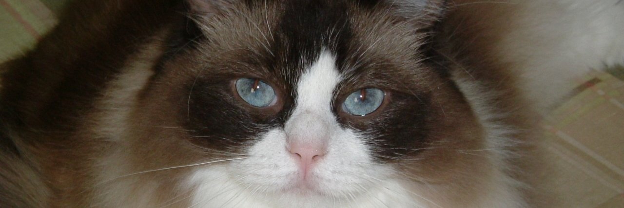 Teewa11 #KeepTheRCMP banner