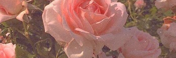 _ayatalla_'s profile banner image