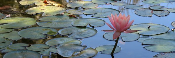 bethoid Profile Banner