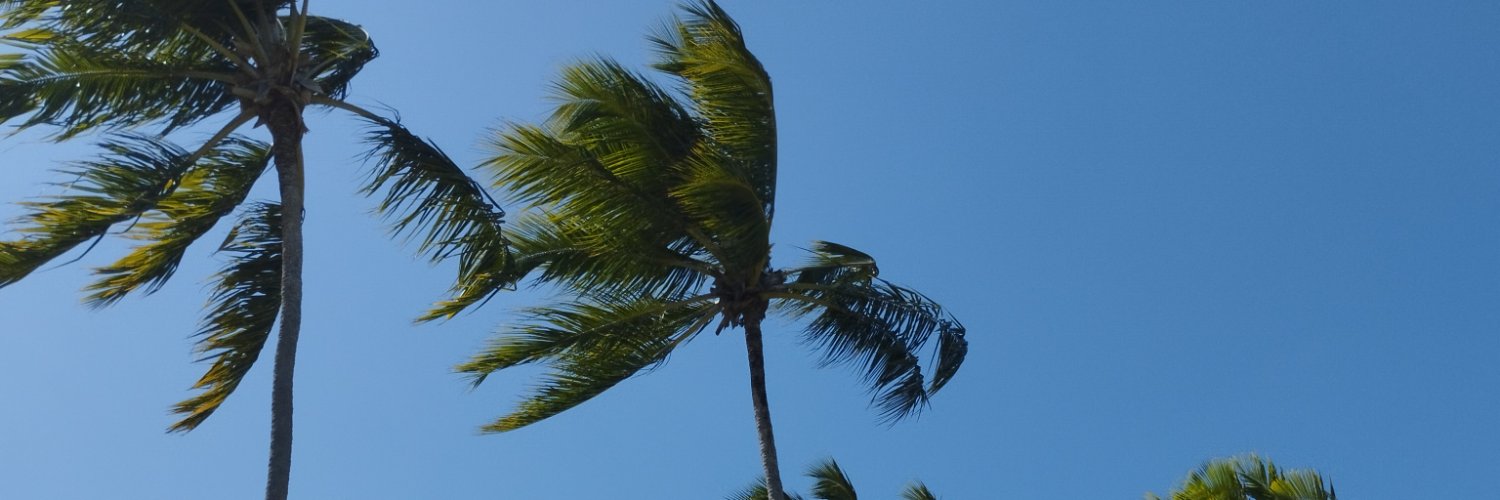 MarciaFernand15's profile banner image