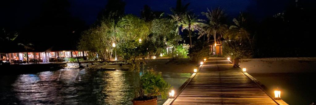 Sarah_Sameer's profile banner image