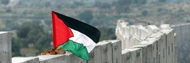 Susana Giacaman banner