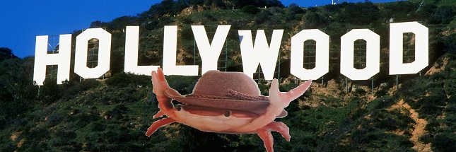 Lucld_'s profile banner image