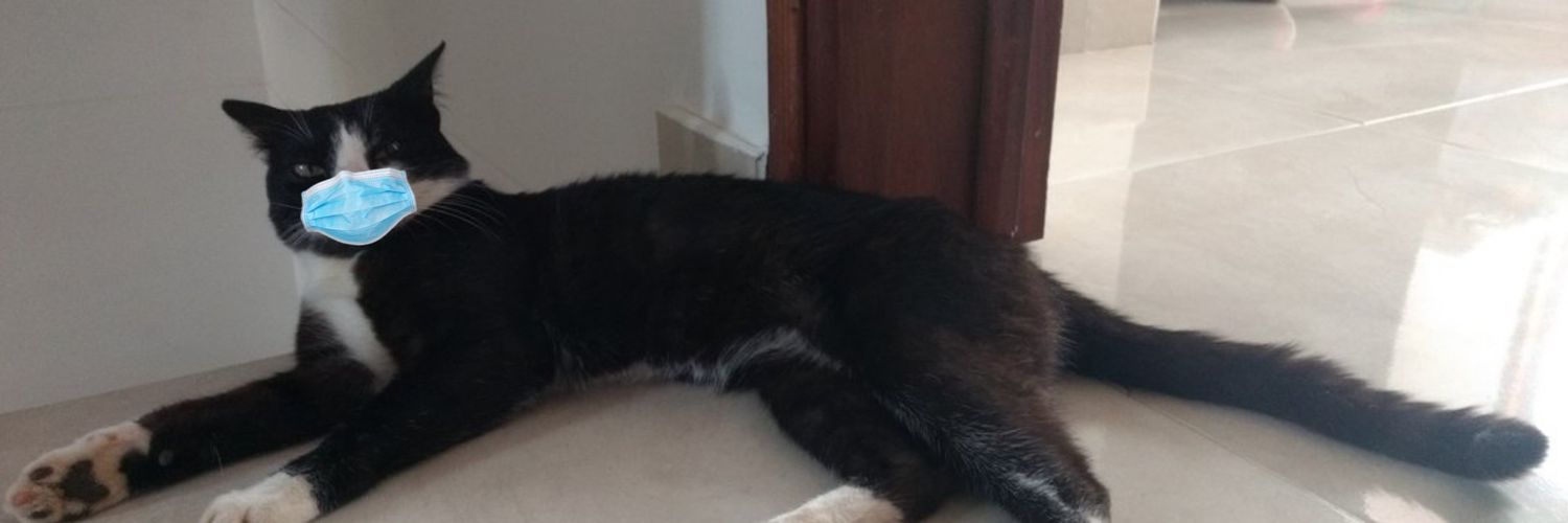 Catstronger's profile banner image