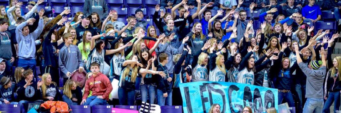 acgcfansection's profile banner image