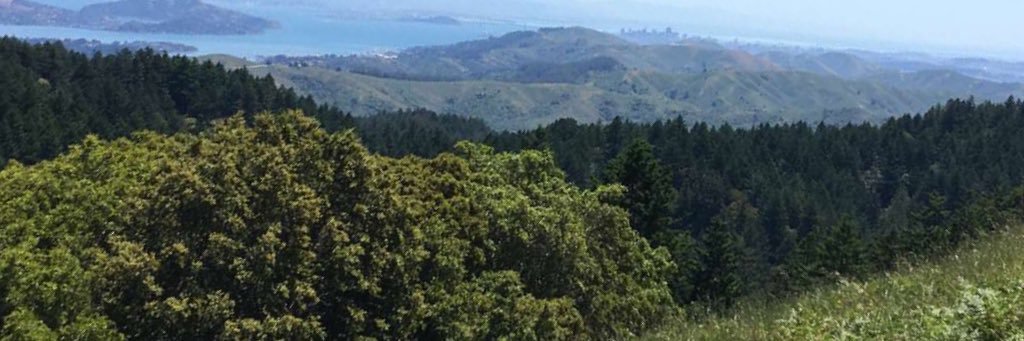 Keegan_Sims's profile banner image