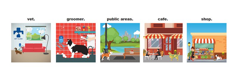 PetParking's profile banner image